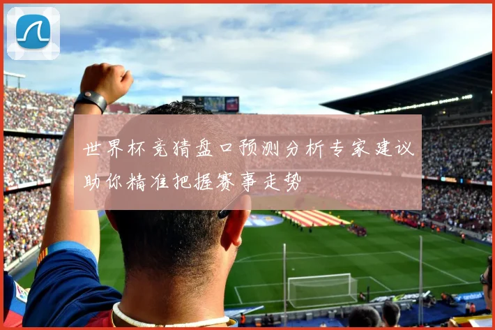 世界杯竞猜盘口预测分析专家建议助你精准把握赛事走势