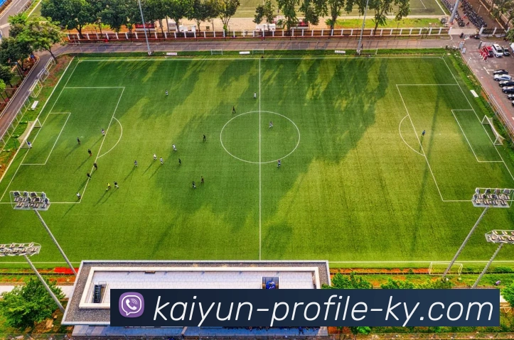 开云平台生态图